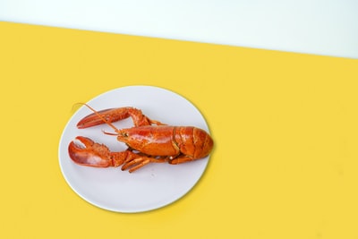 陶瓷盘龙虾